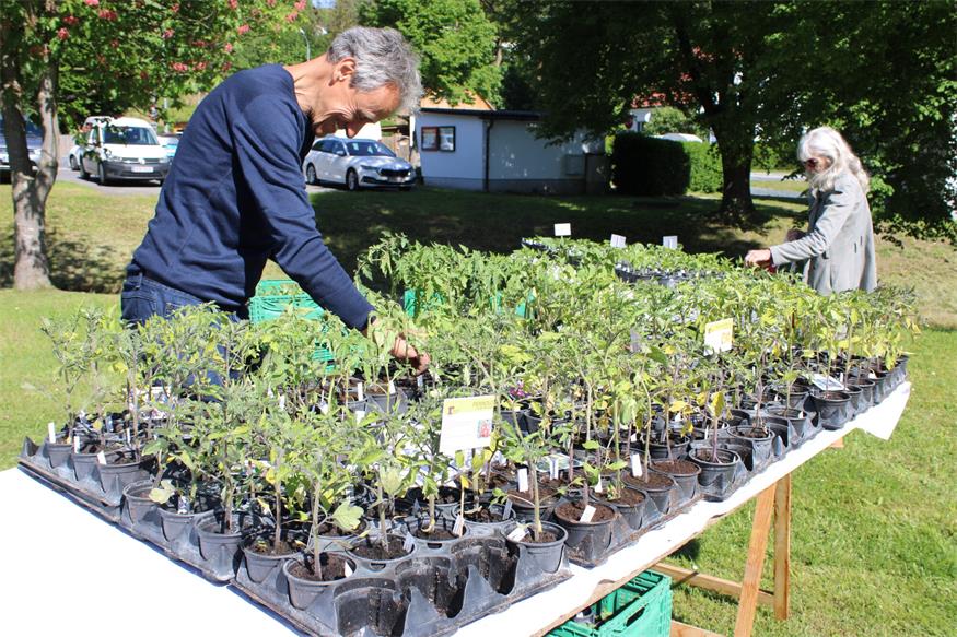 Bio Austria: „Langeck ist das Biofest des Aufbruchs“