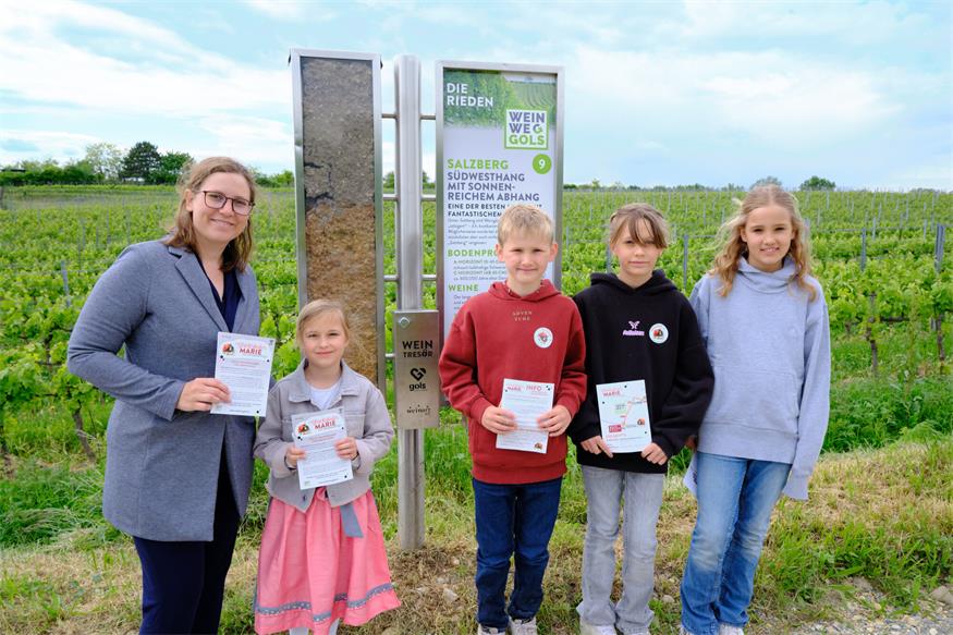 Gols: Modernisierter WeinWeg neu eröffnet