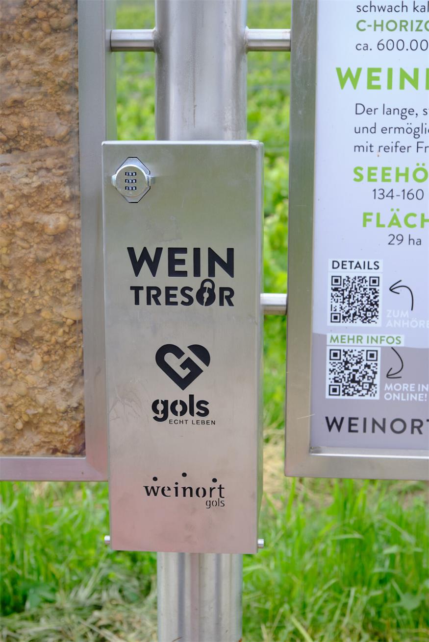 Gols: Modernisierter WeinWeg neu eröffnet