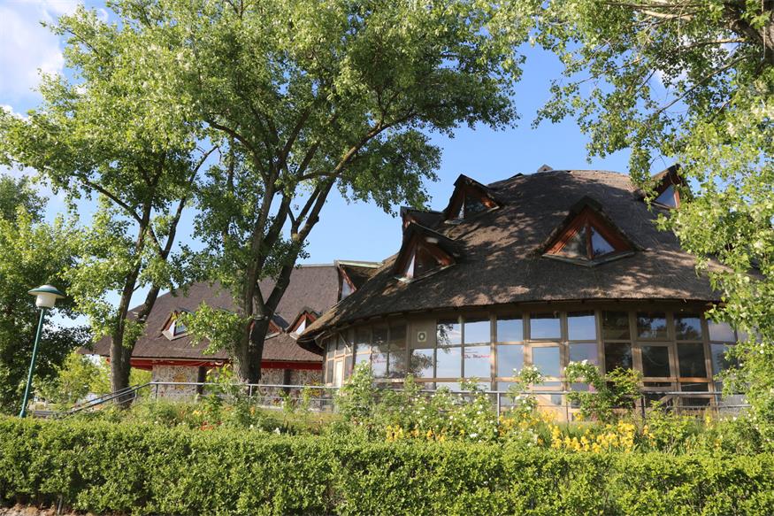 Neusiedl am See: Verfallenes Seerestaurant wird zum Kulturzentrum