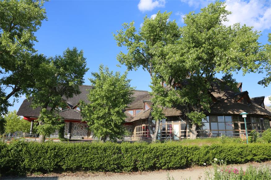Neusiedl am See: Verfallenes Seerestaurant wird zum Kulturzentrum