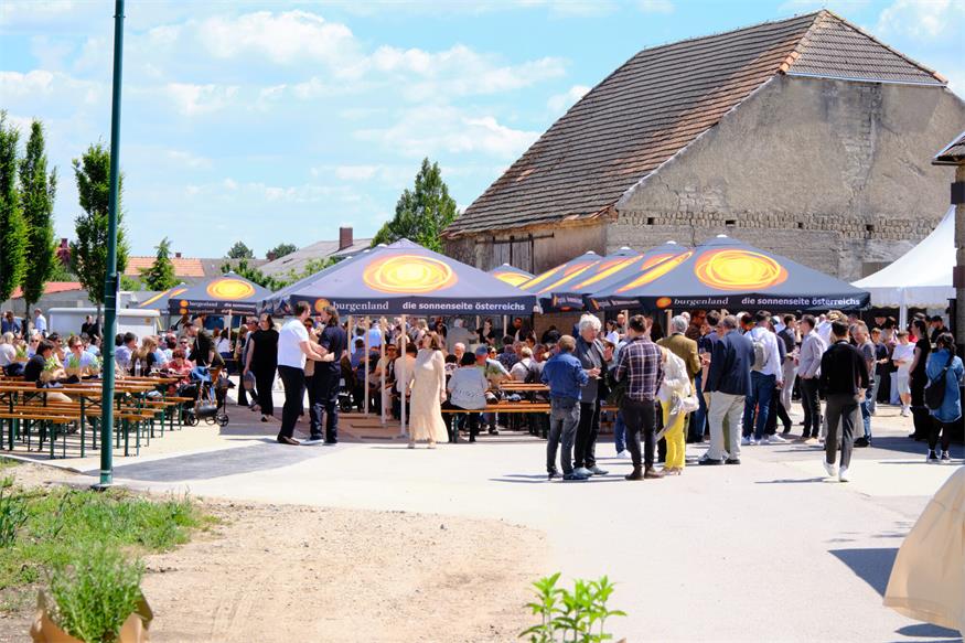 25 Jahre Weingut Schwarz: Vom Schwein zum Wein