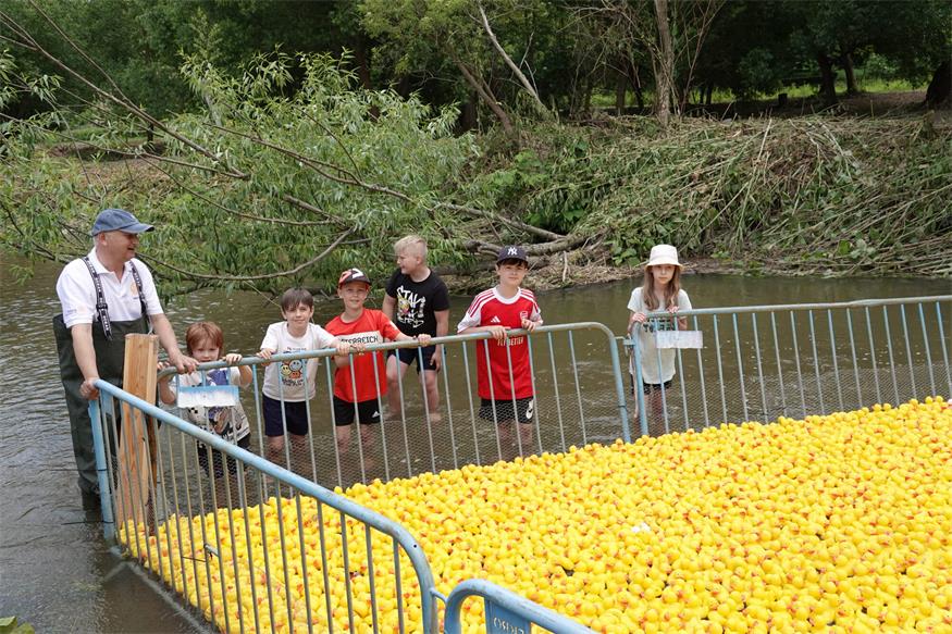 5.000 Enten schwammen für die gute Sache in Lutzmannsburg um die Wette