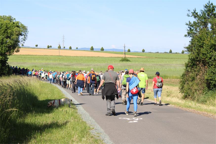 Hin zum Mittelpunkt des Burgenlands