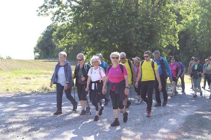 Hin zum Mittelpunkt des Burgenlands