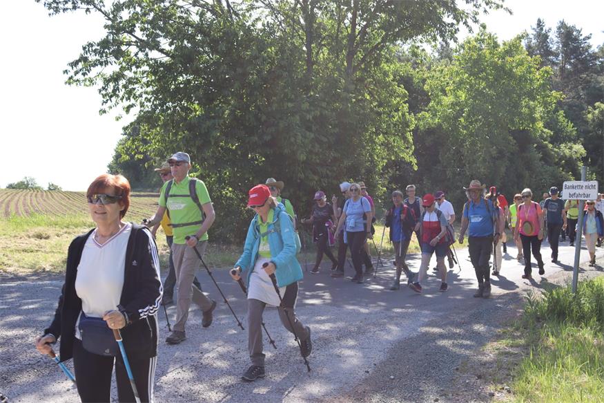 Hin zum Mittelpunkt des Burgenlands