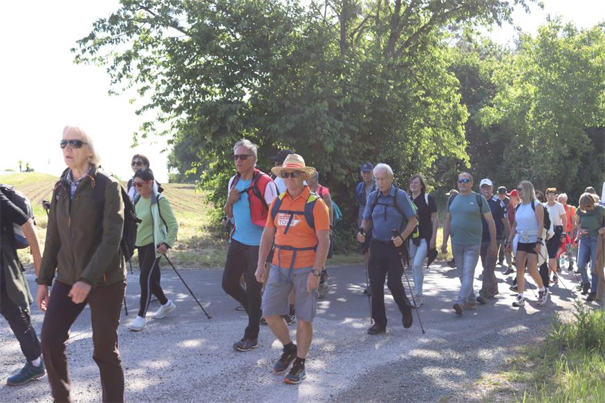 Hin zum Mittelpunkt des Burgenlands