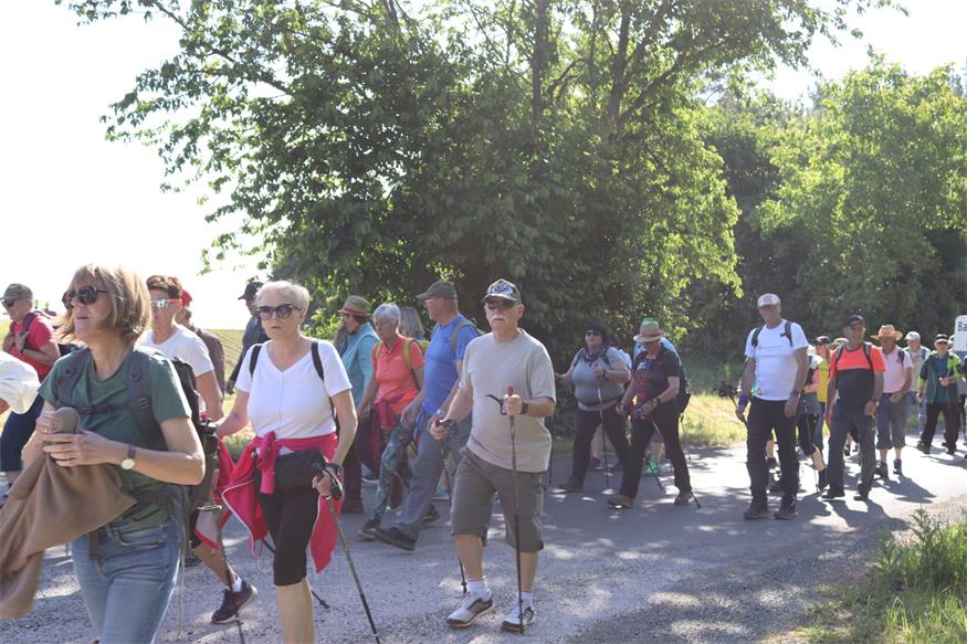Hin zum Mittelpunkt des Burgenlands