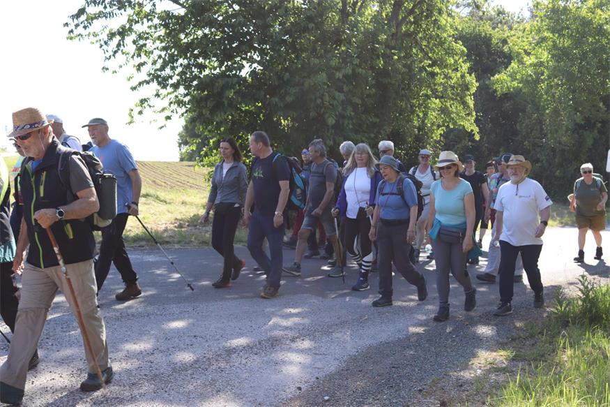 Hin zum Mittelpunkt des Burgenlands