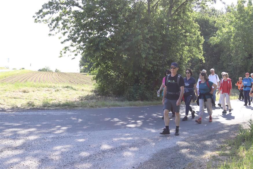 Hin zum Mittelpunkt des Burgenlands