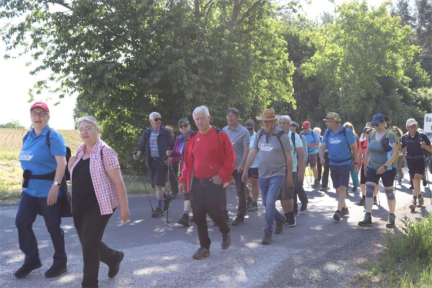 Hin zum Mittelpunkt des Burgenlands