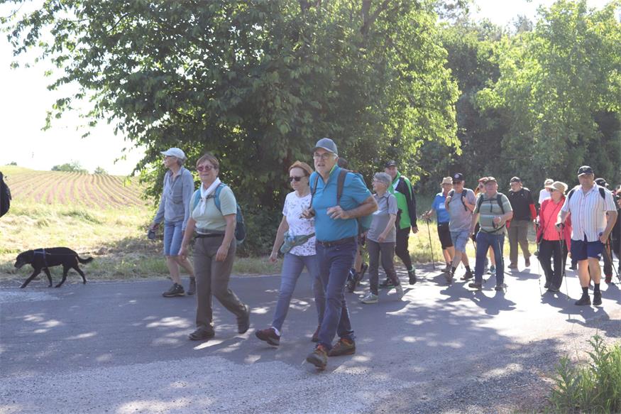 Hin zum Mittelpunkt des Burgenlands