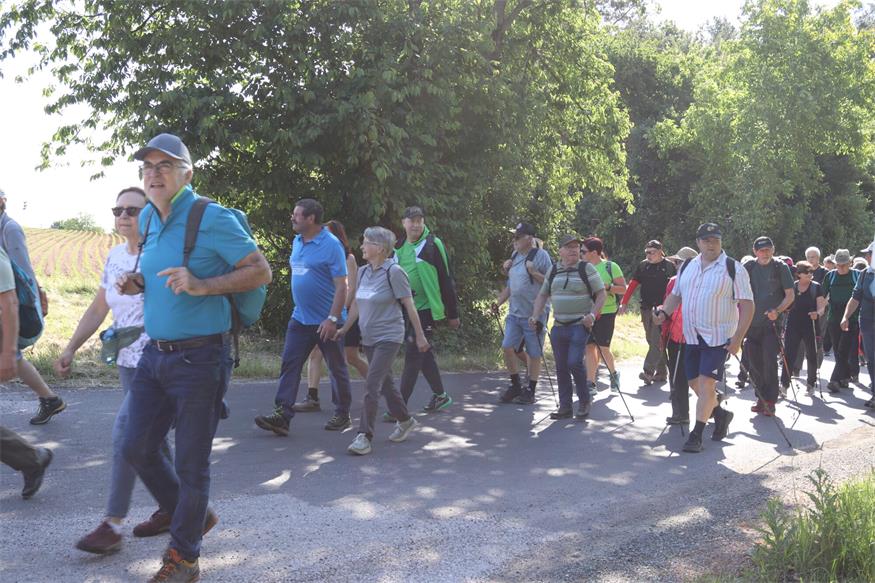 Hin zum Mittelpunkt des Burgenlands