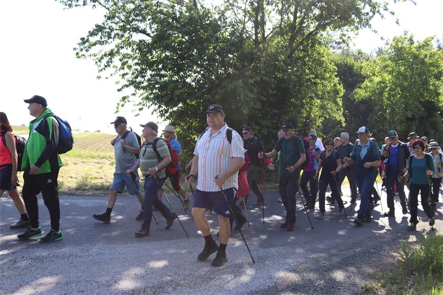 Hin zum Mittelpunkt des Burgenlands