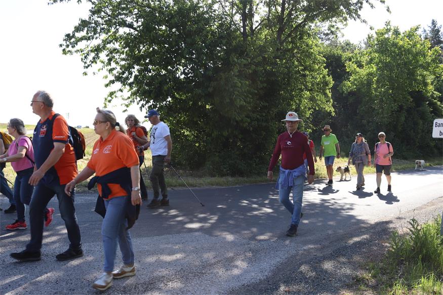 Hin zum Mittelpunkt des Burgenlands