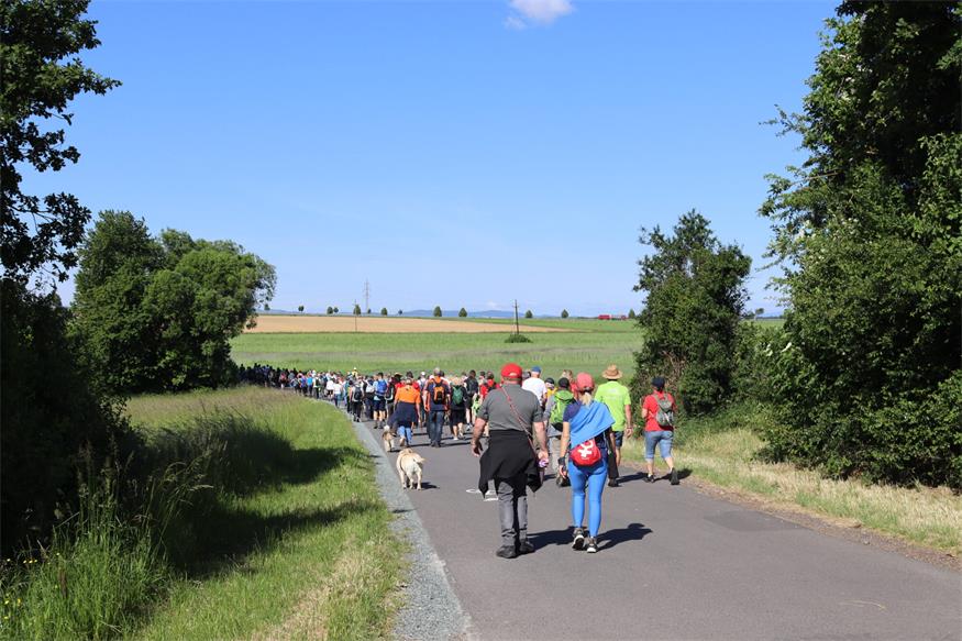 Hin zum Mittelpunkt des Burgenlands