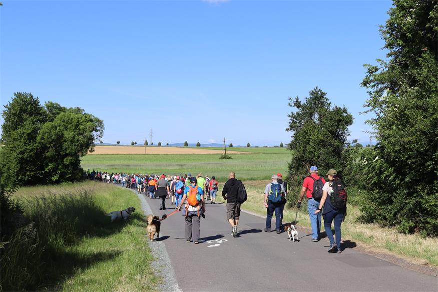 Hin zum Mittelpunkt des Burgenlands