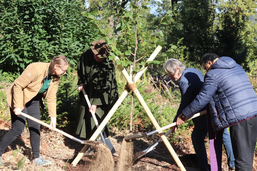 Neuer Klosterwald in Bad Sauerbrunn: Ort für Abschied und Erinnerung