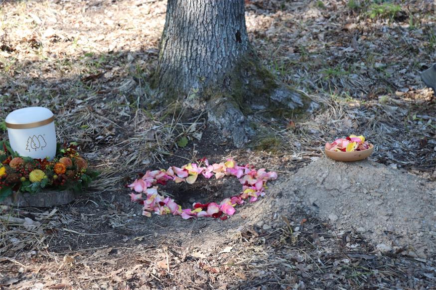 Neuer Klosterwald in Bad Sauerbrunn: Ort für Abschied und Erinnerung