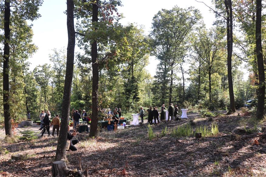 Neuer Klosterwald in Bad Sauerbrunn: Ort für Abschied und Erinnerung
