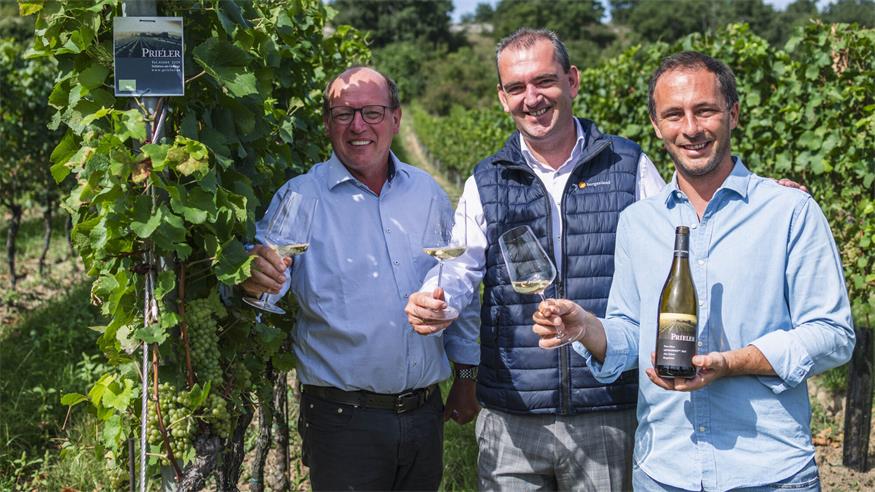 Weinbau-Präsident Andreas Liegenfeld, Wein Burgenland-Obmann Herbert Oschep und Winzer Georg Prieler gaben am Dienstag einen Ausblick auf die derzeit startende Weinlese im Burgenland.