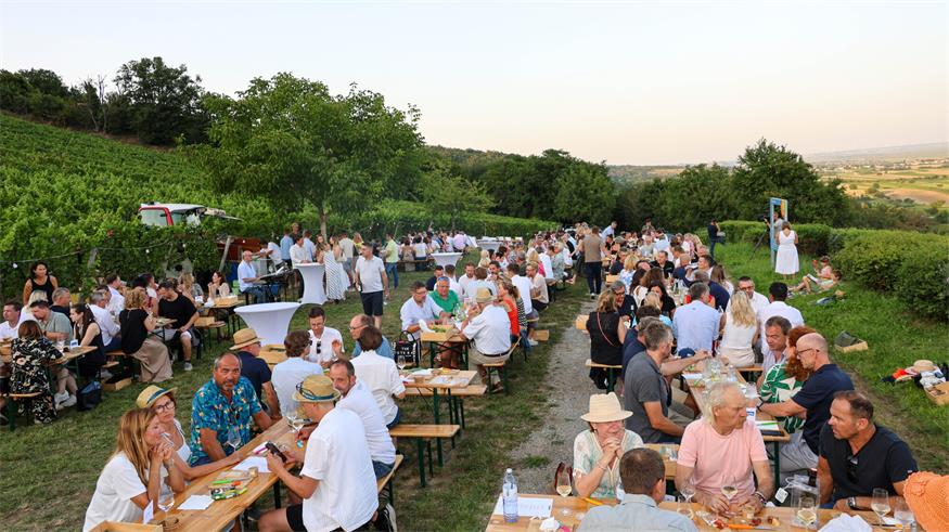 Weinquartett-Charity im Donnerskirchner Himmelreich