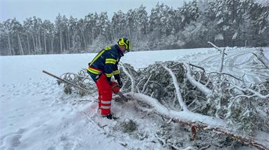 Zahlreiche umgestürzte Bäume hielten die Feuerwehren auf Trab.